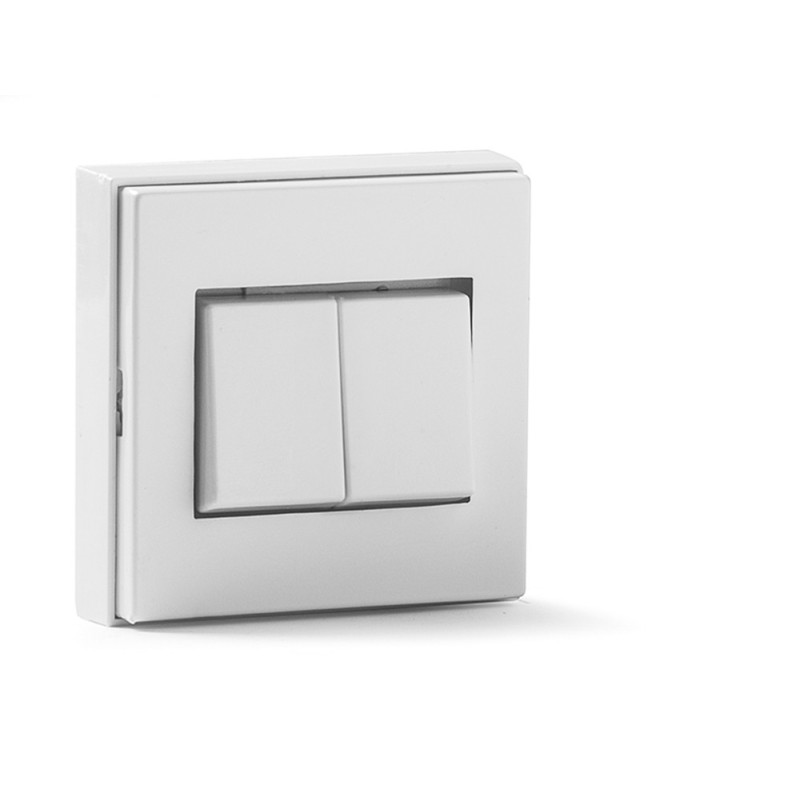 5003-B/ Doble conmutador superficie 10A-250V