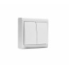 8003/ Doble conmutador superficie 10A-250V